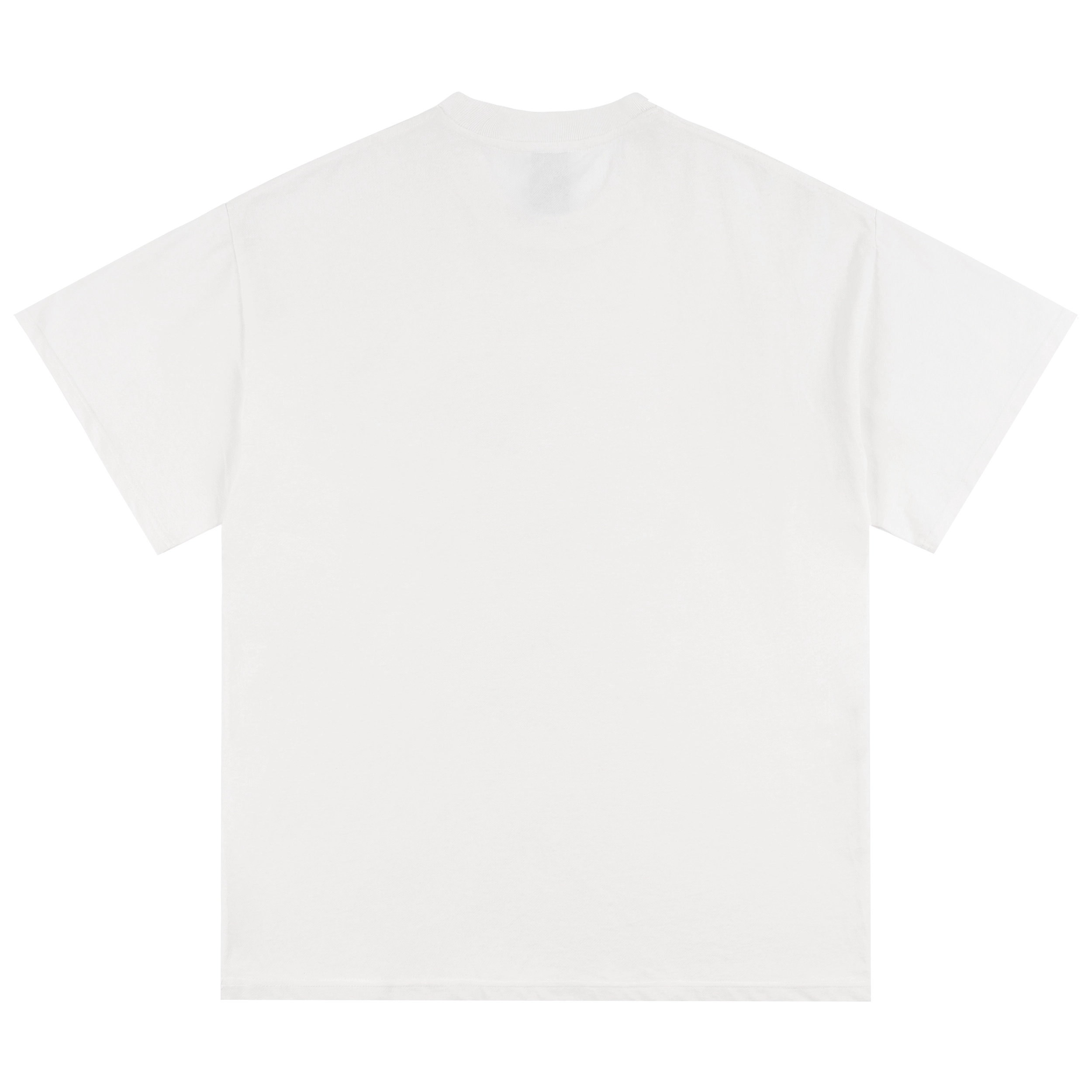 PILOTDRAGON T