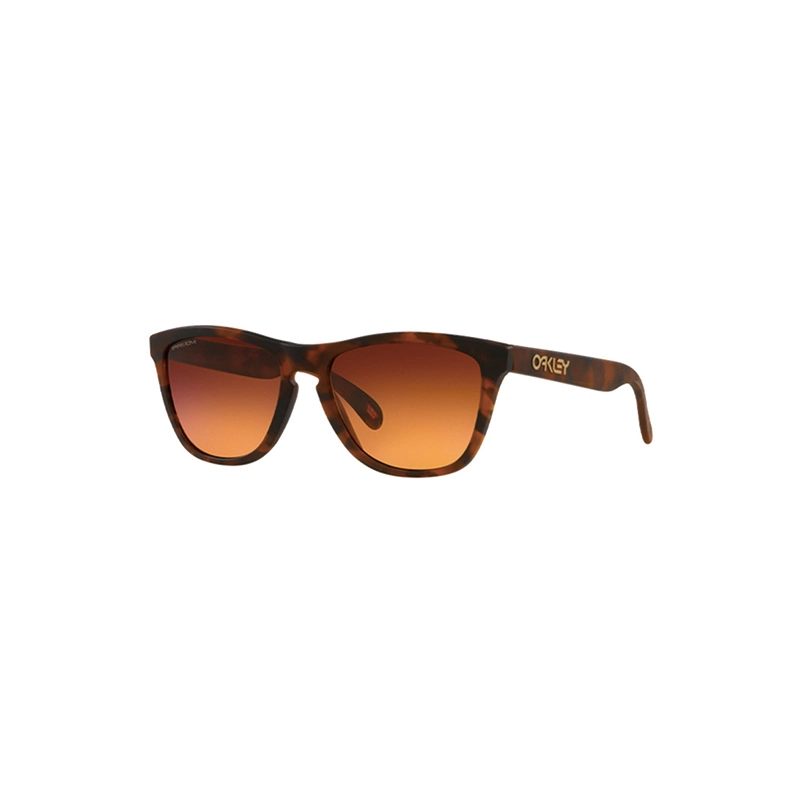 Oakley 9245 FROGSKINS (A)
