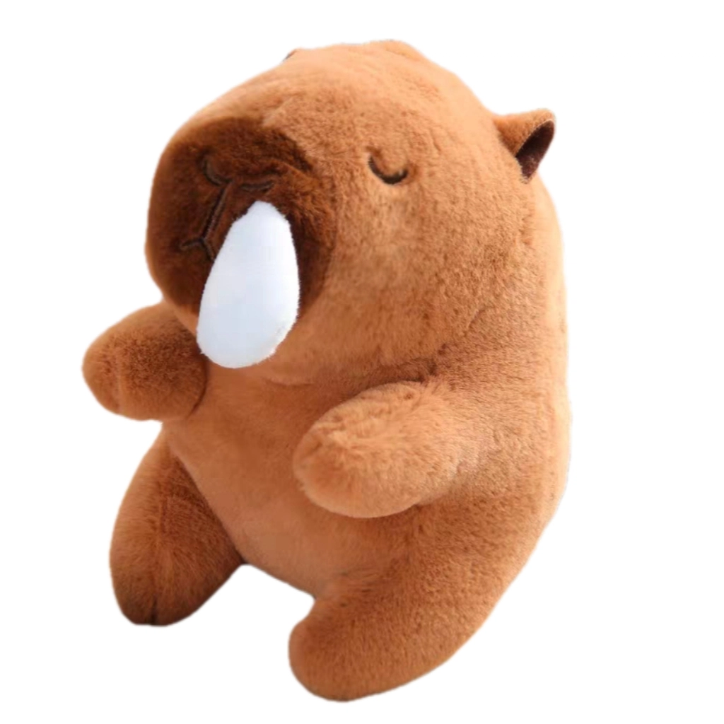8cm