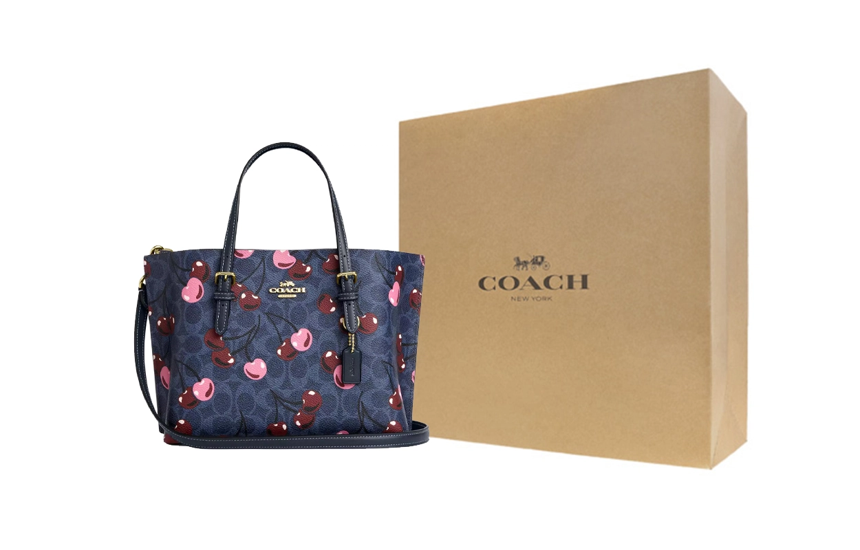 COACH Mollie 25 Tote