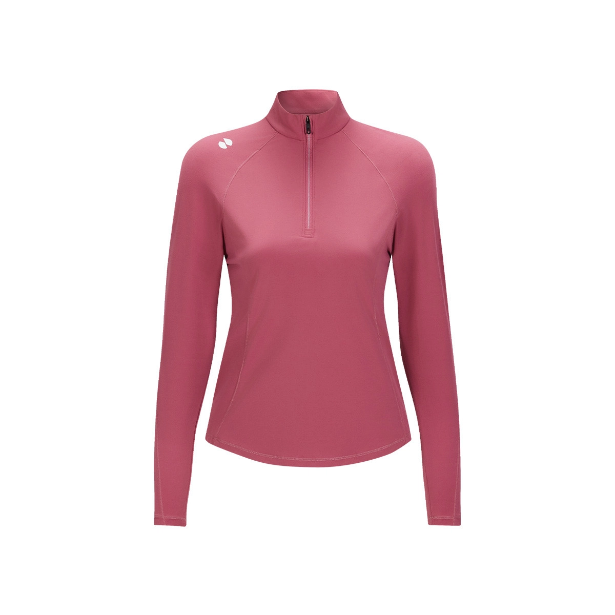 HOTSUIT logo T