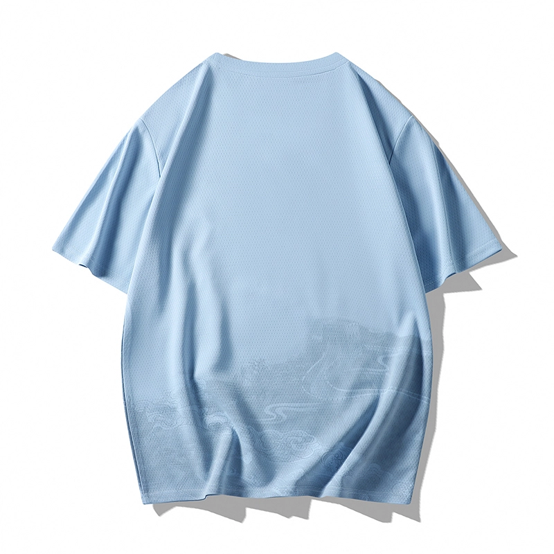 LISENPOK T