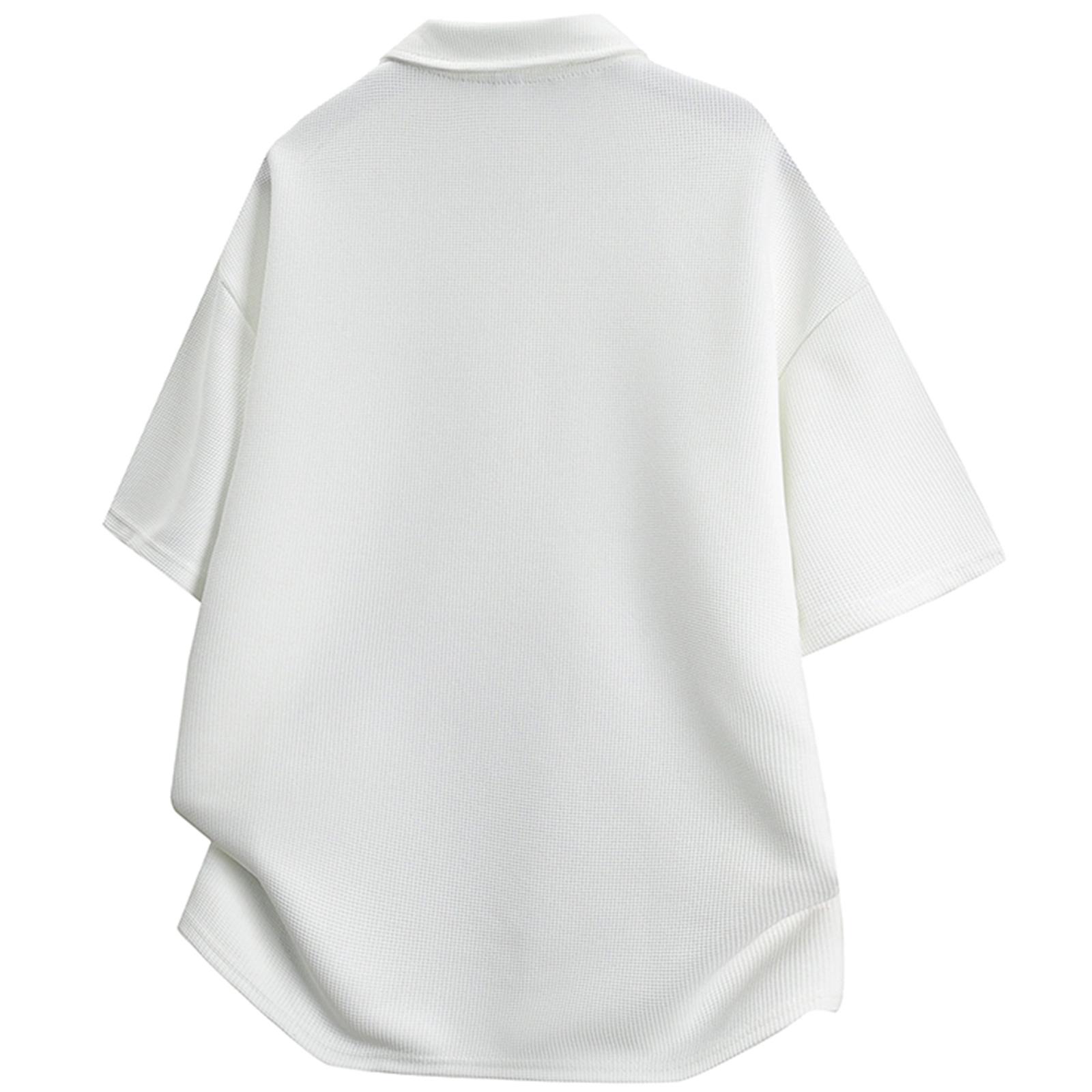a02 LogoPolo