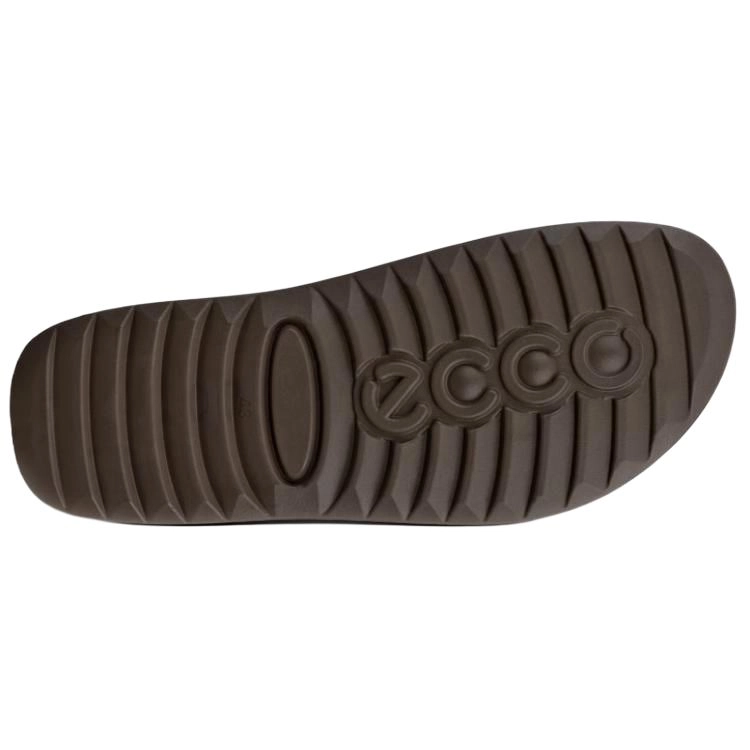 ecco Cozmo