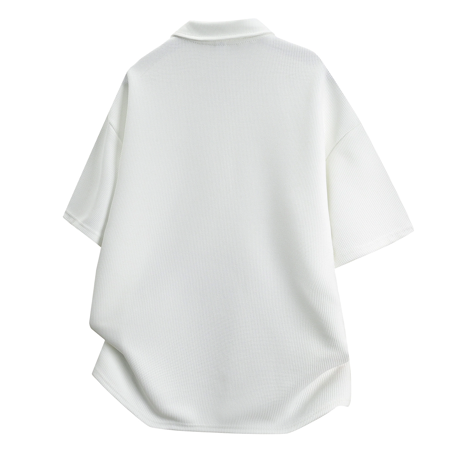 a02 LogoPolo