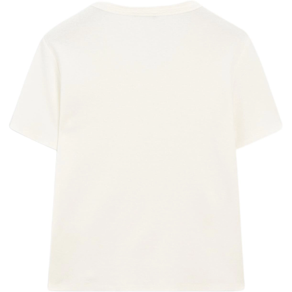 Massimo Dutti T