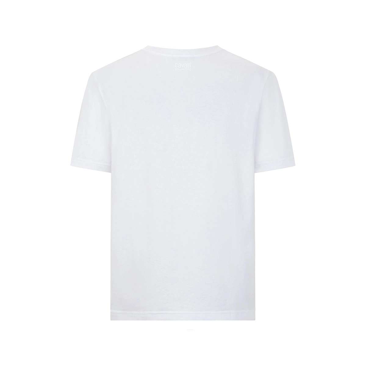 Cavalli Class T
