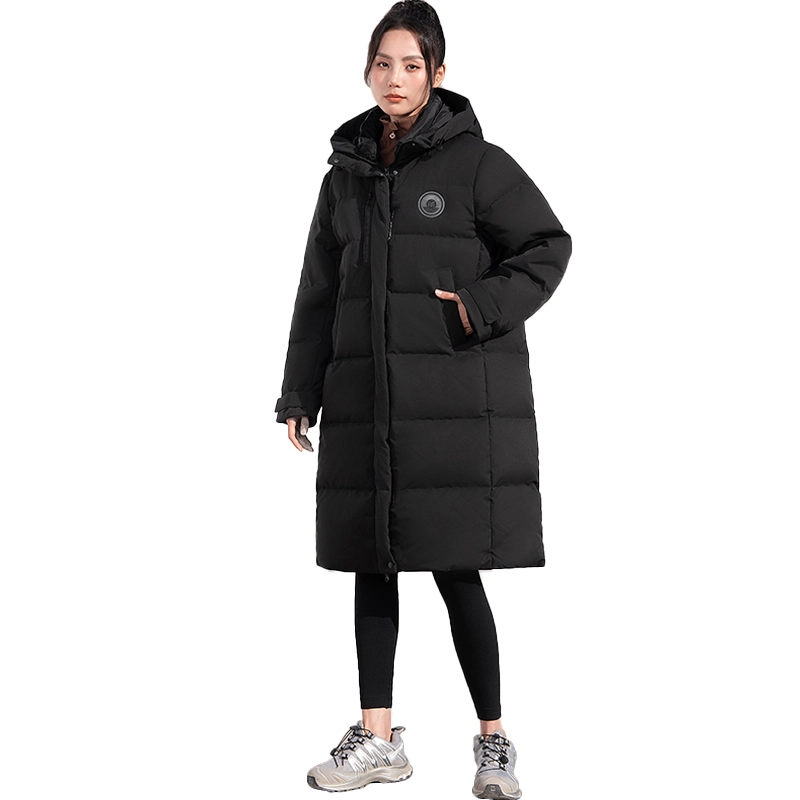MOLY VIVI 2023