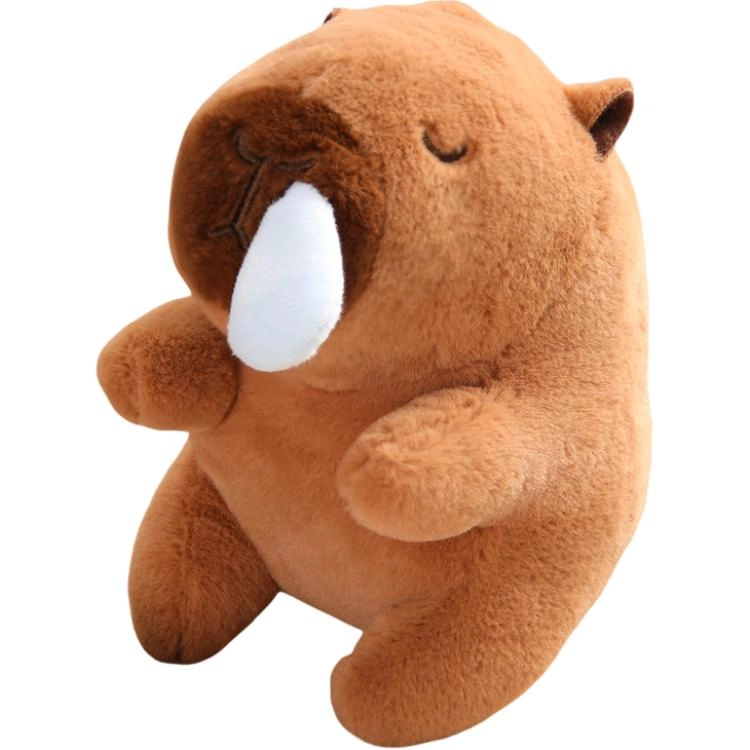8cm