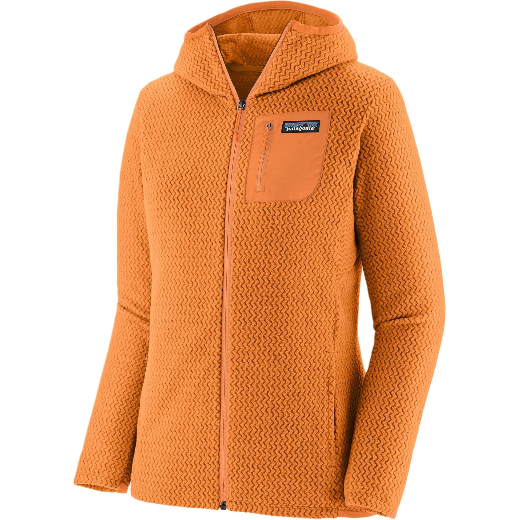patagonia R1 Air Logo