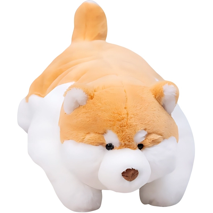 55cm