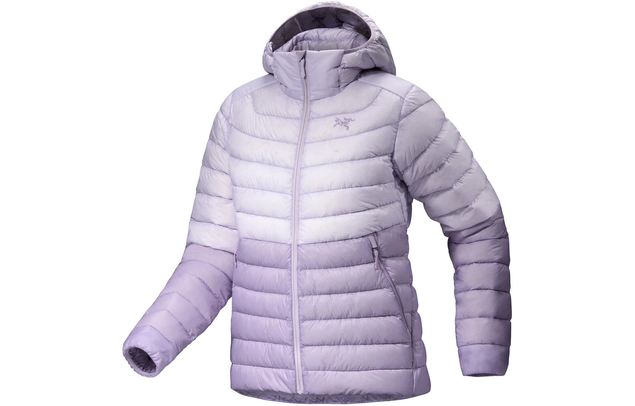 Arcteryx Cerium Hoody Logo