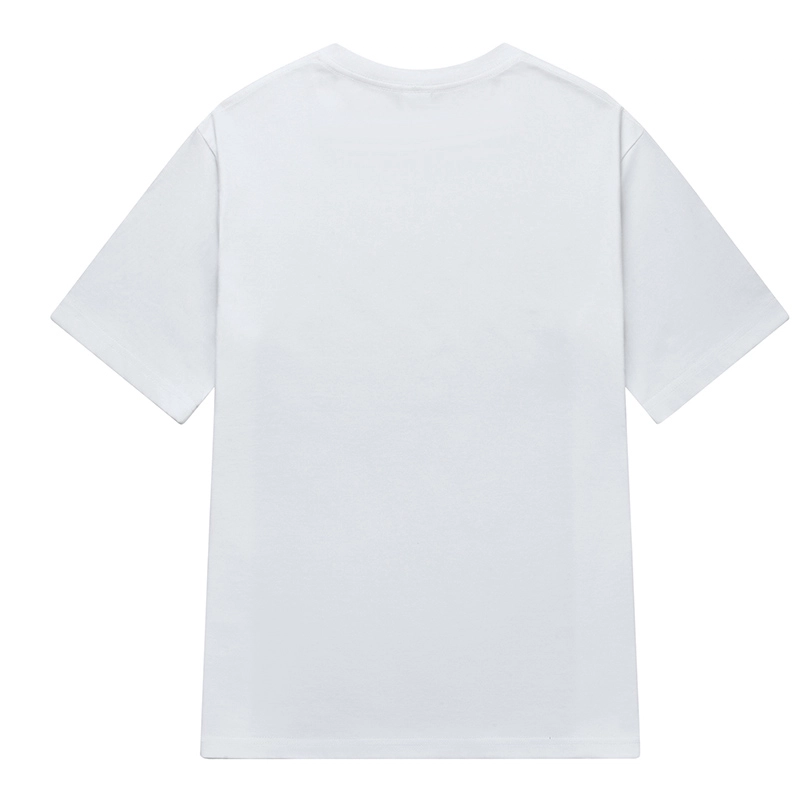 LSVE NASA T
