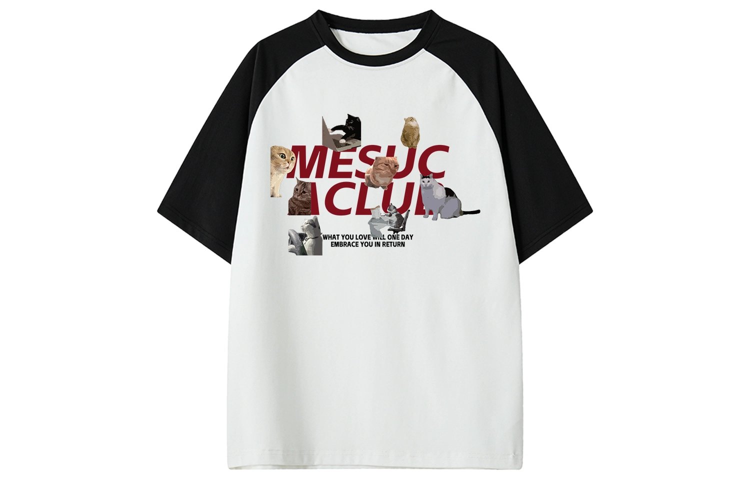 MESUCA LogoT