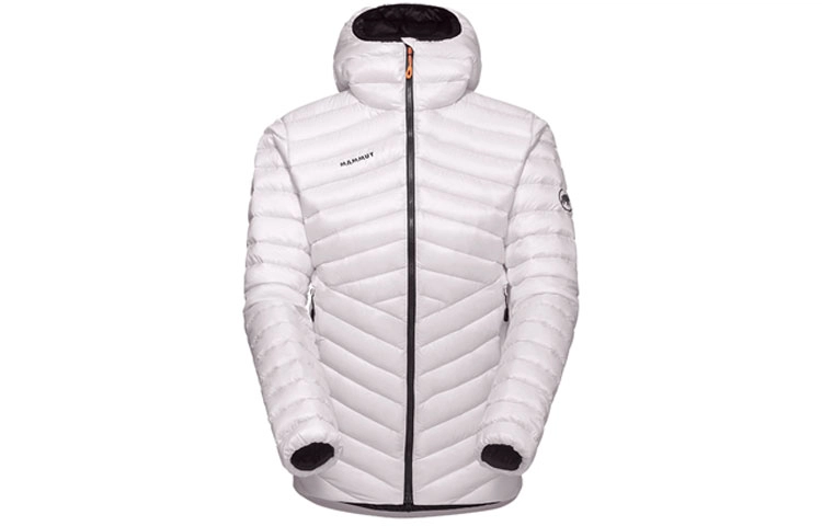 MAMMUT Broad