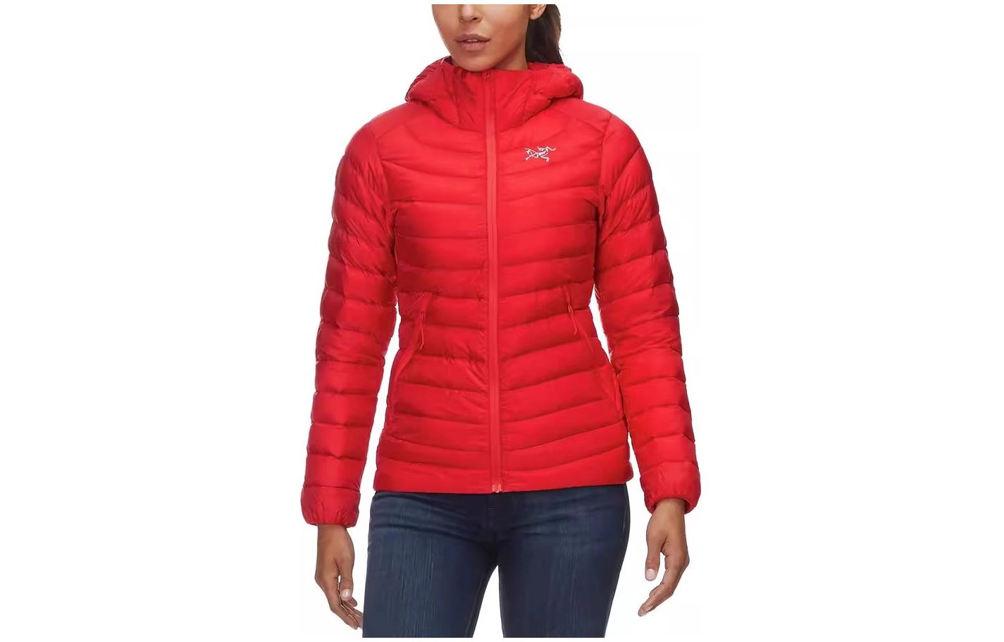 Arcteryx CERIUM lt hoody Logo