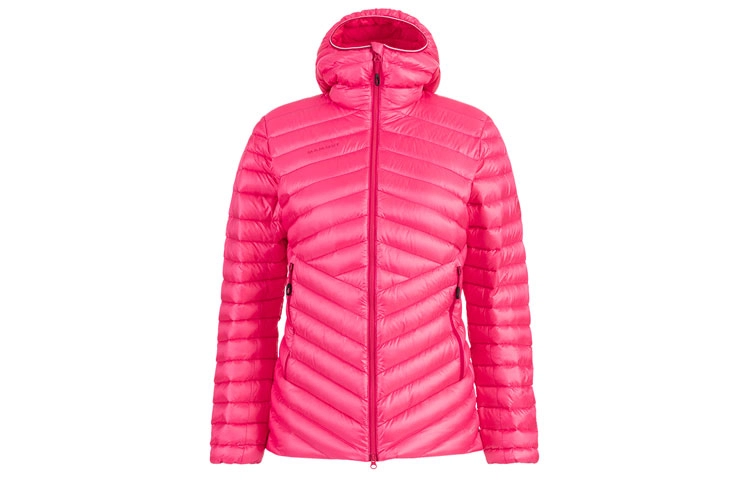 MAMMUT Broad