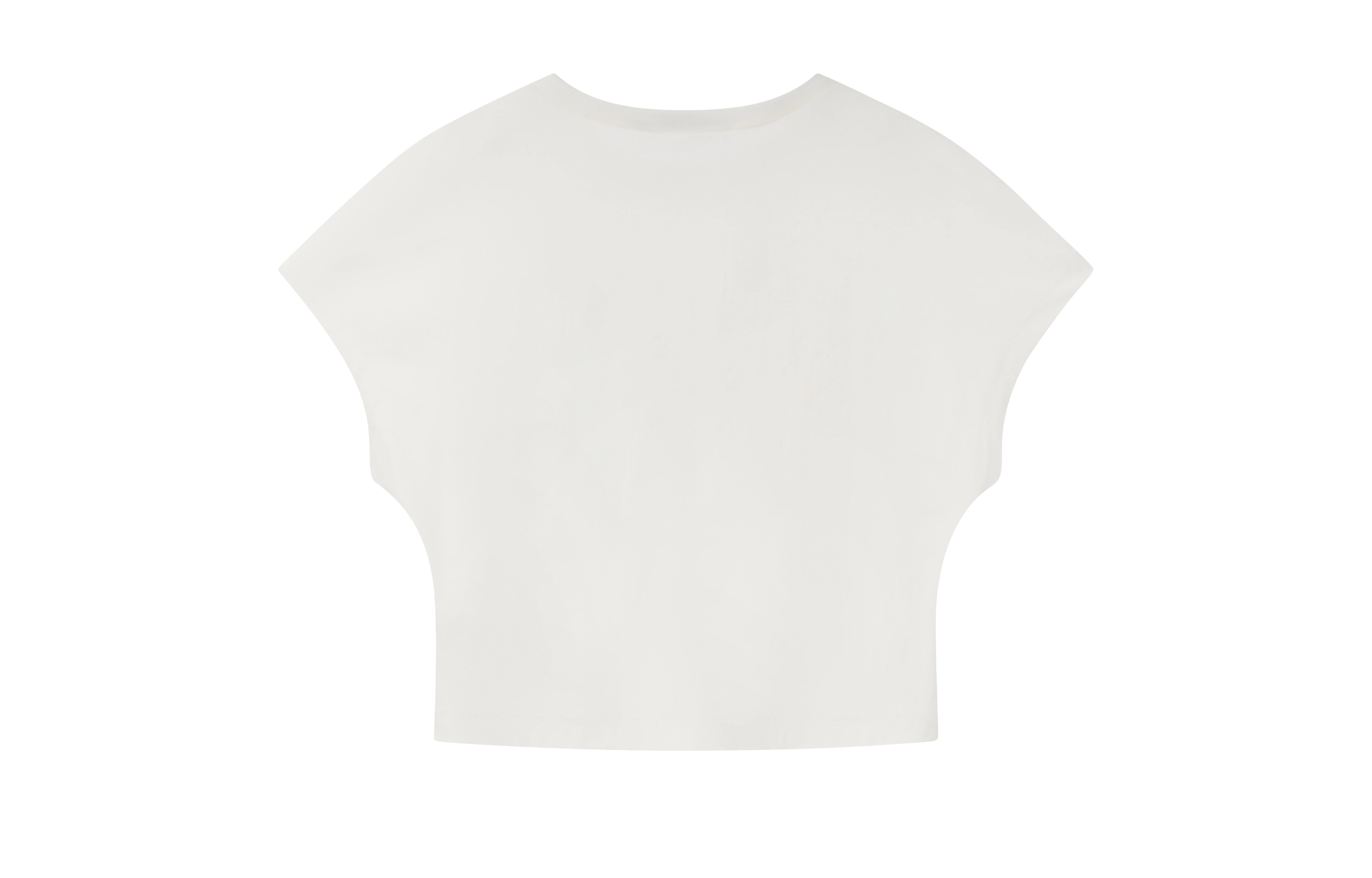 BLINDNOPLAN T