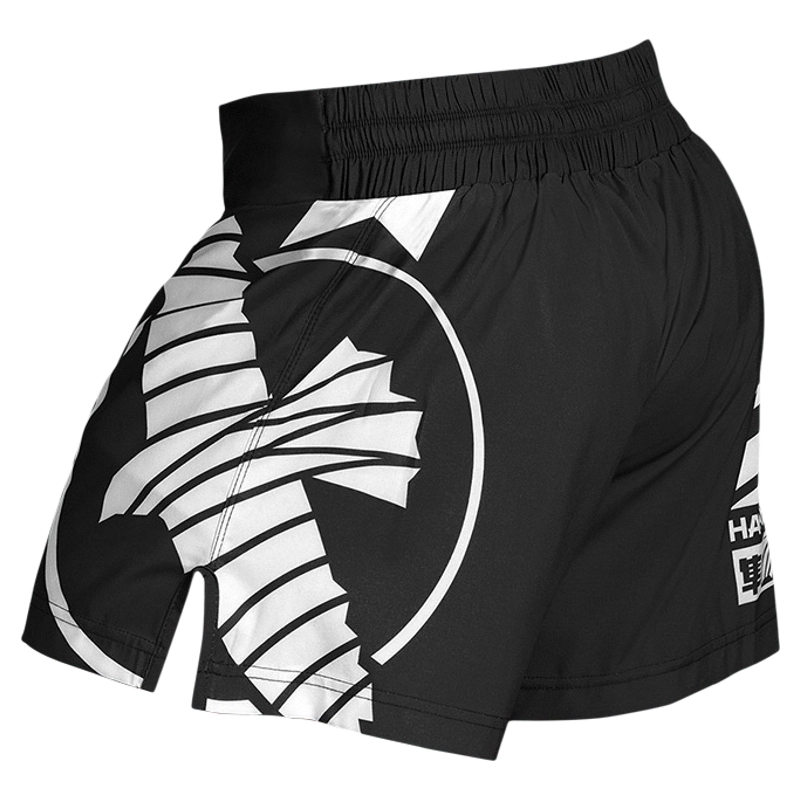 HAYABUSA