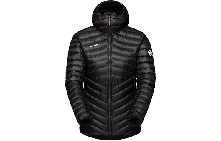 MAMMUT Broad