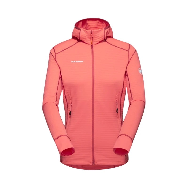 MAMMUT