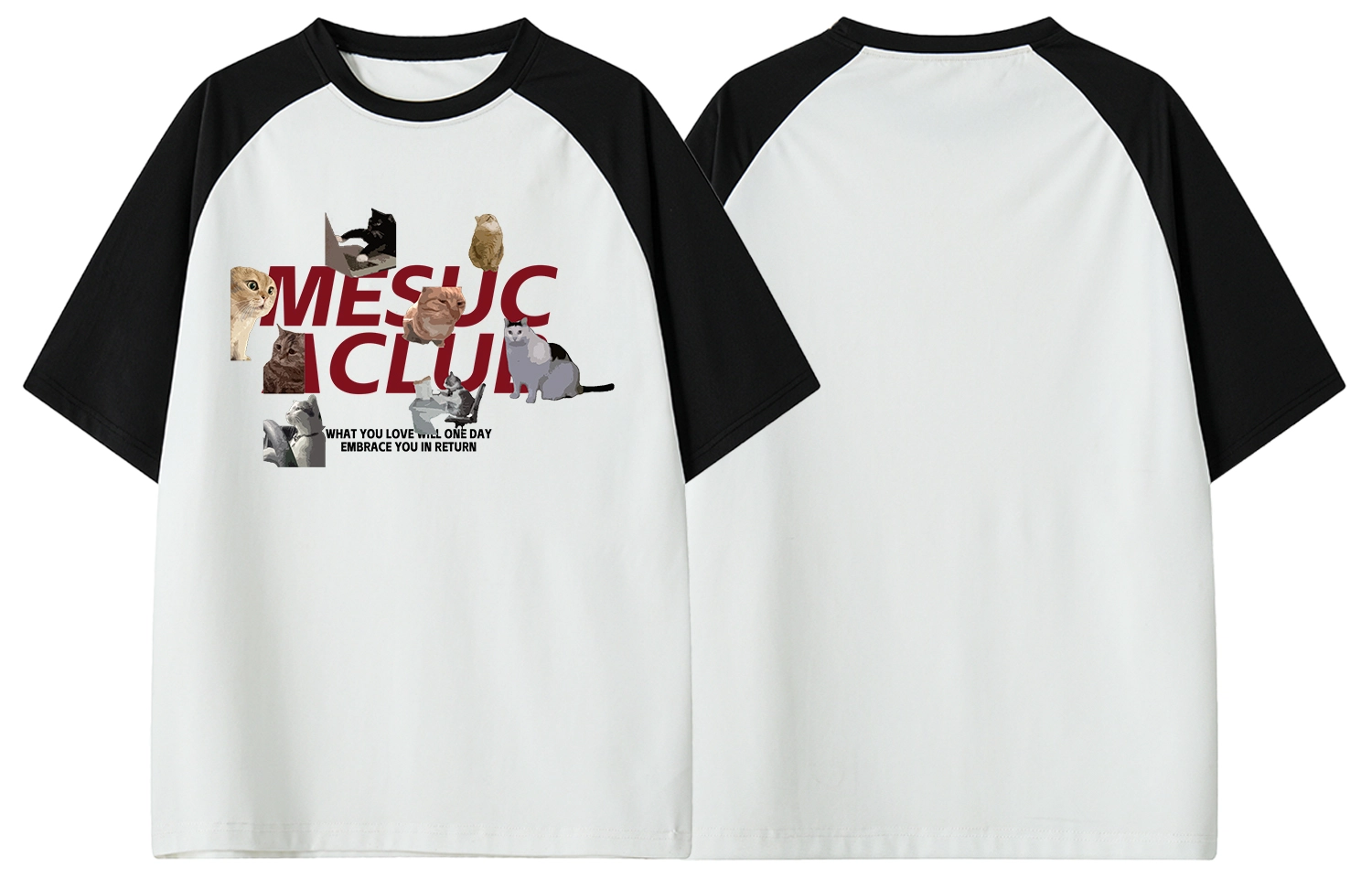 MESUCA LogoT