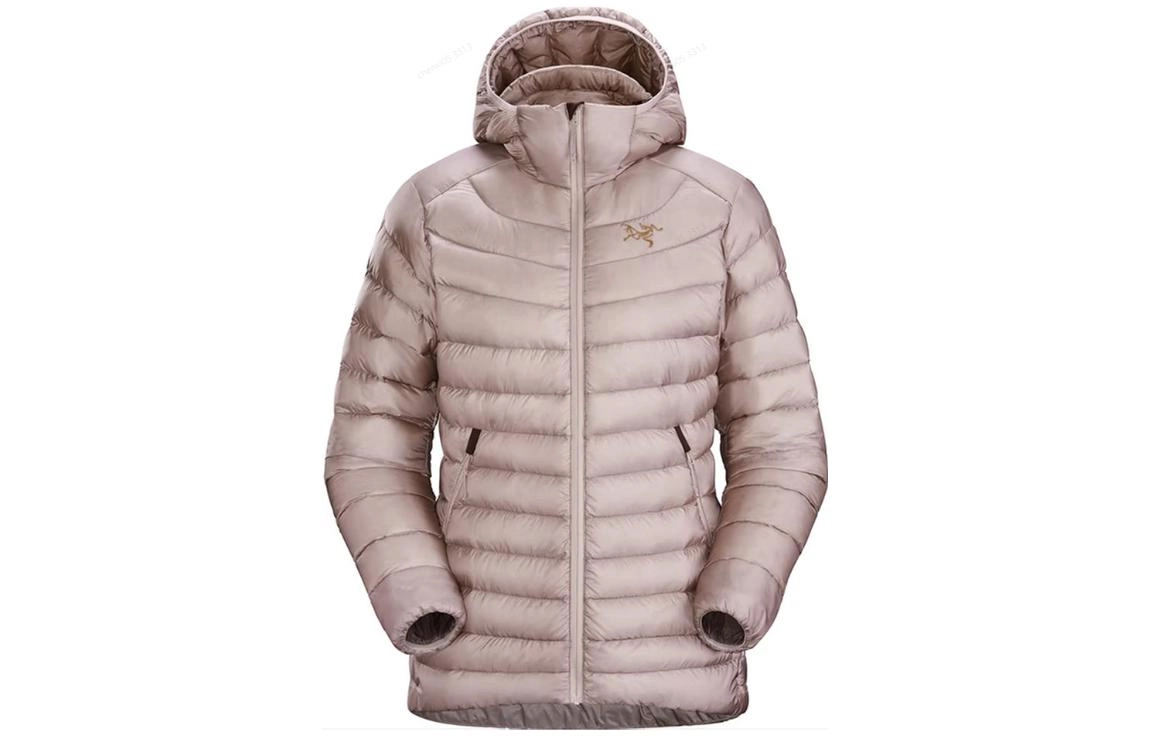 Arcteryx CERIUM lt hoody Logo