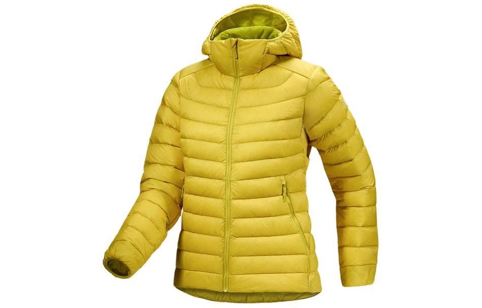 Arcteryx cerium hoody logo