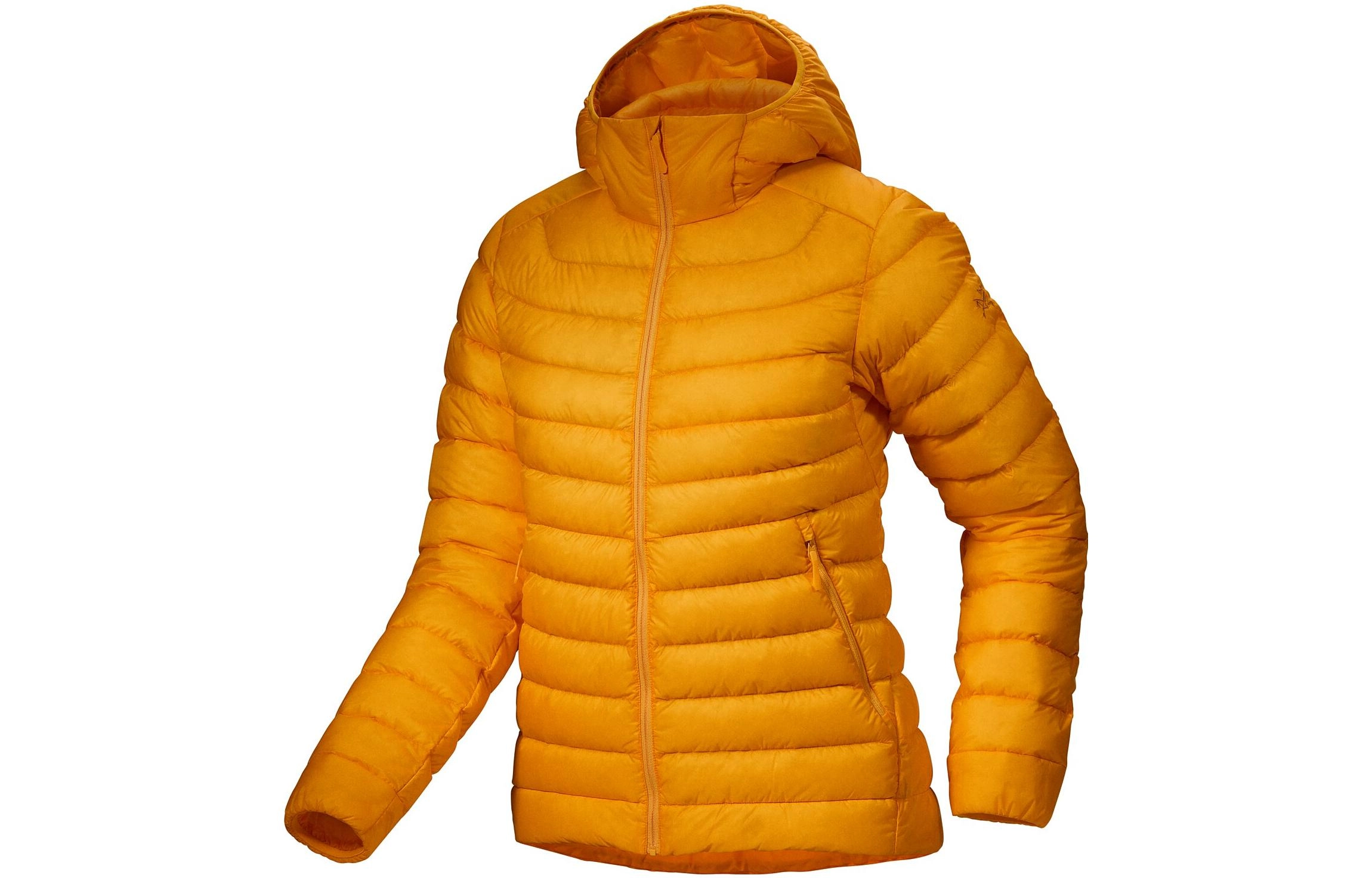 Arcteryx cerium hoody logo