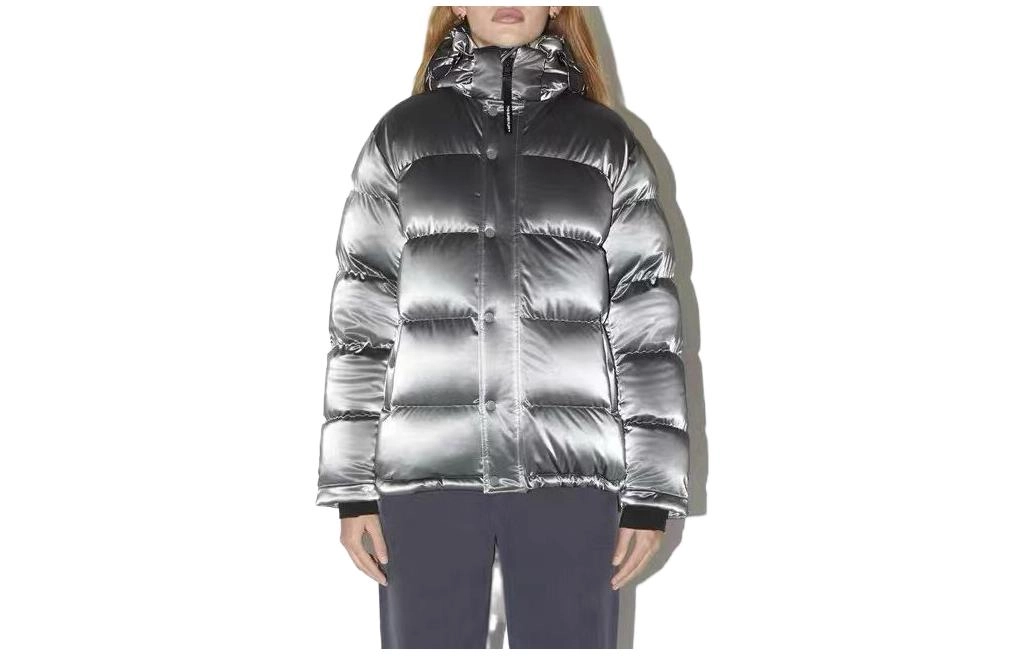 ARITZIA Super Puff Liquid Shine 5