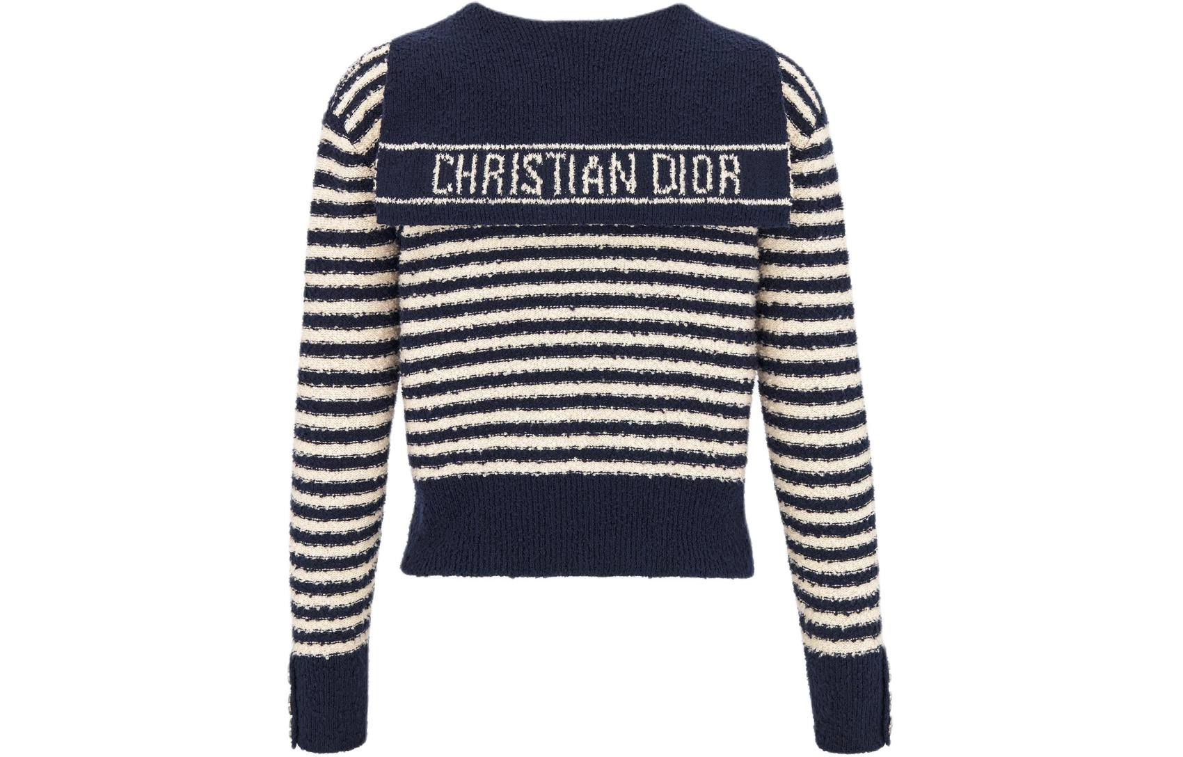 DIOR SS24 V