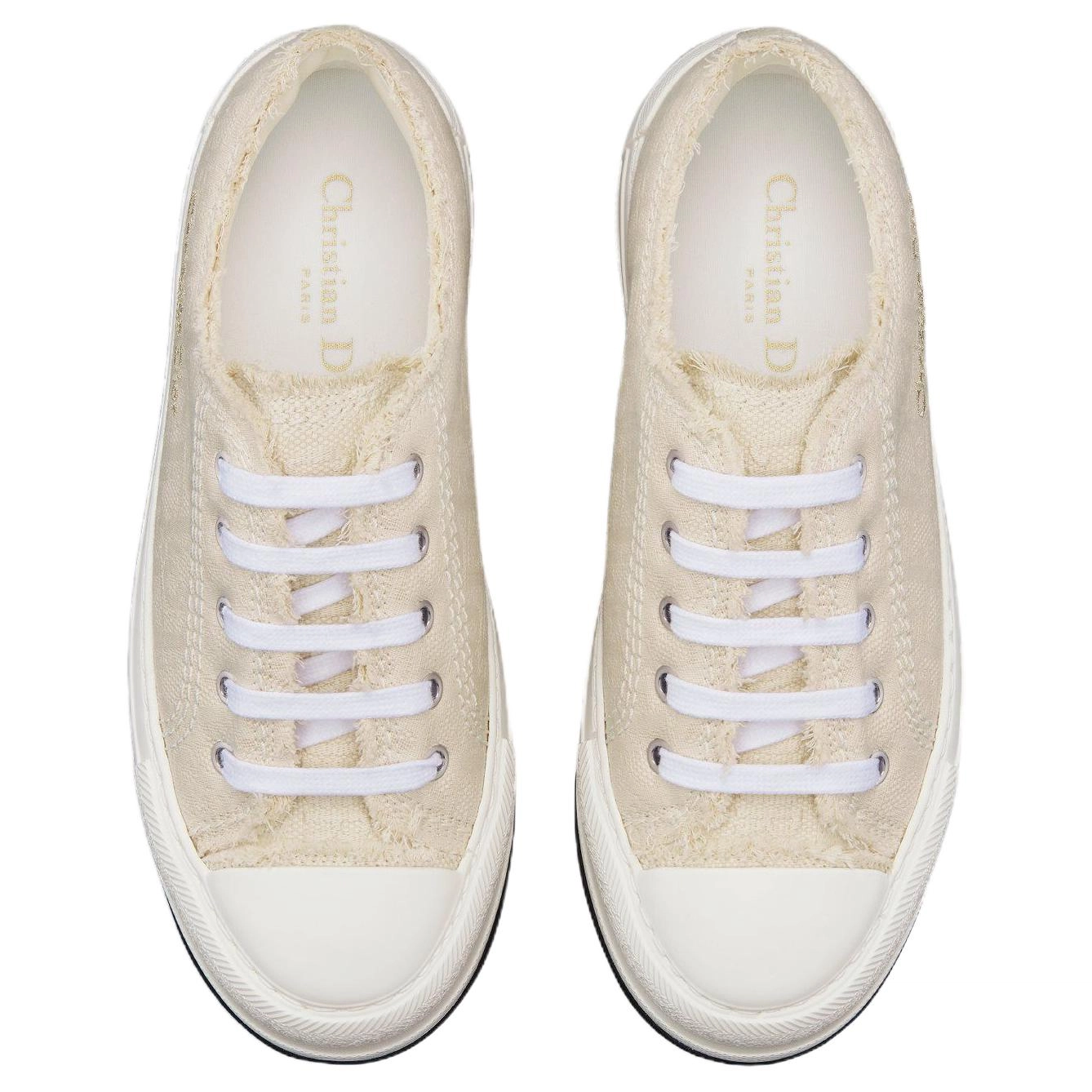 DIOR Walk'n'Dior Oblique