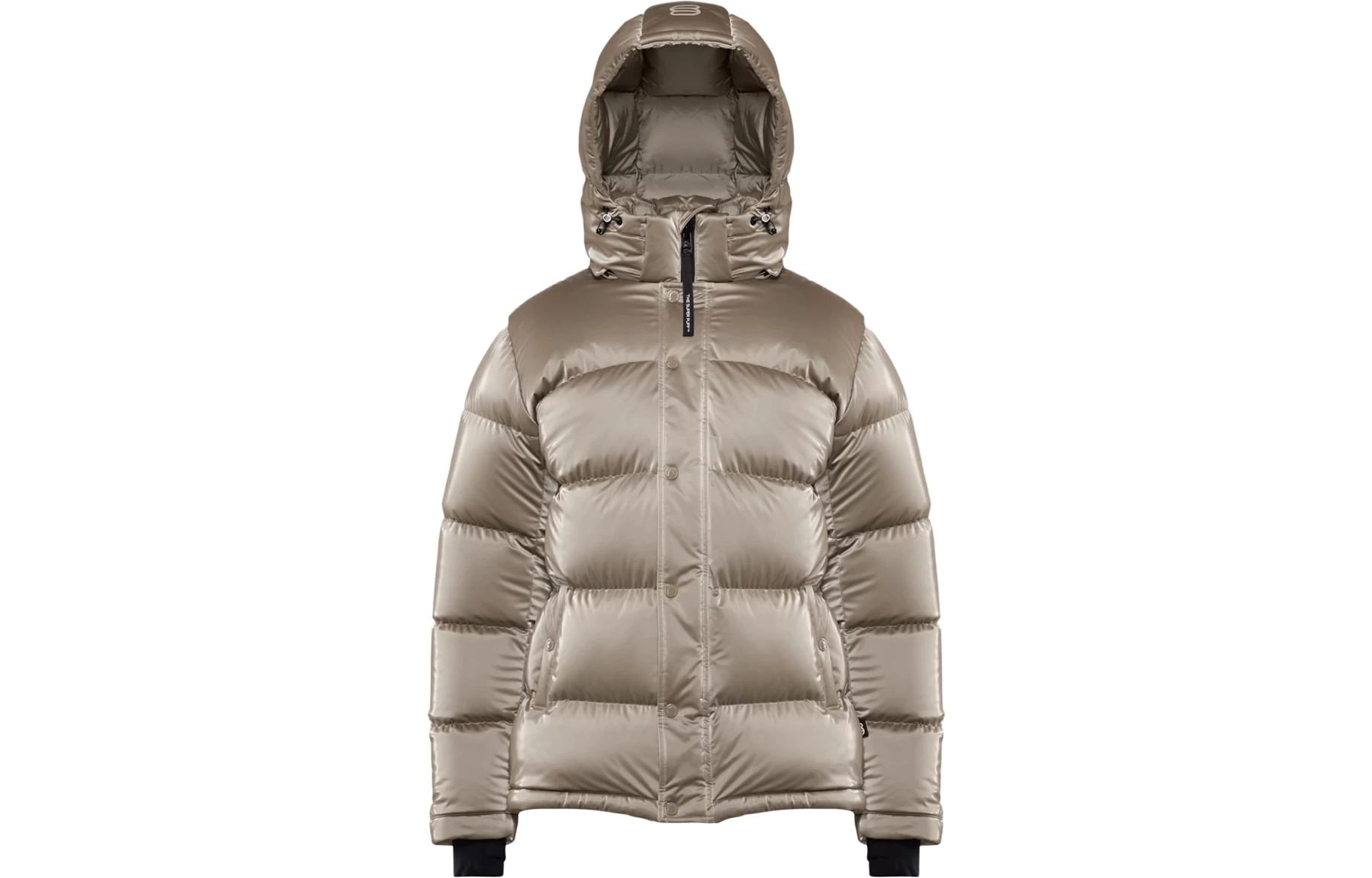 ARITZIA Super Puff Liquid Shine 5
