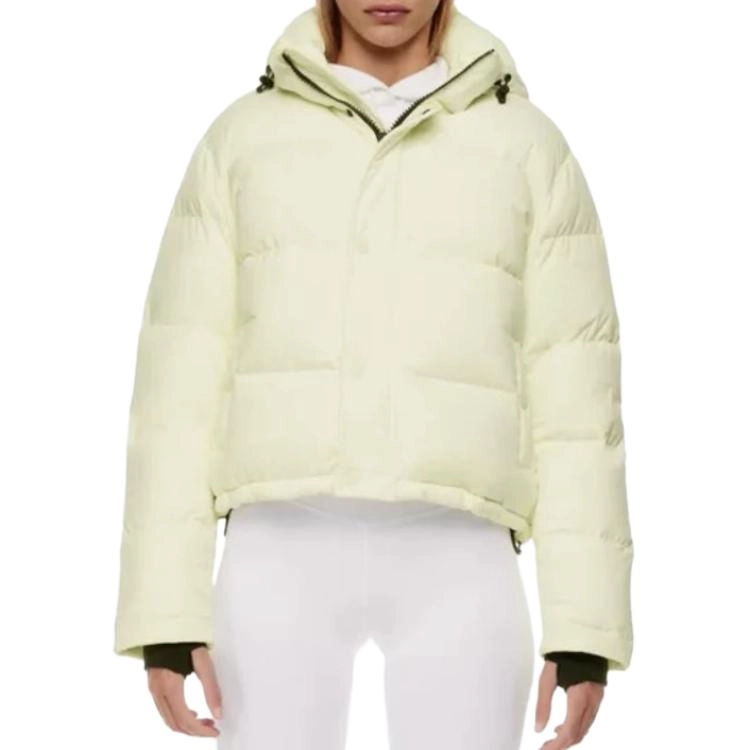 ARITZIA TNA Super Puff Shorty 700 4
