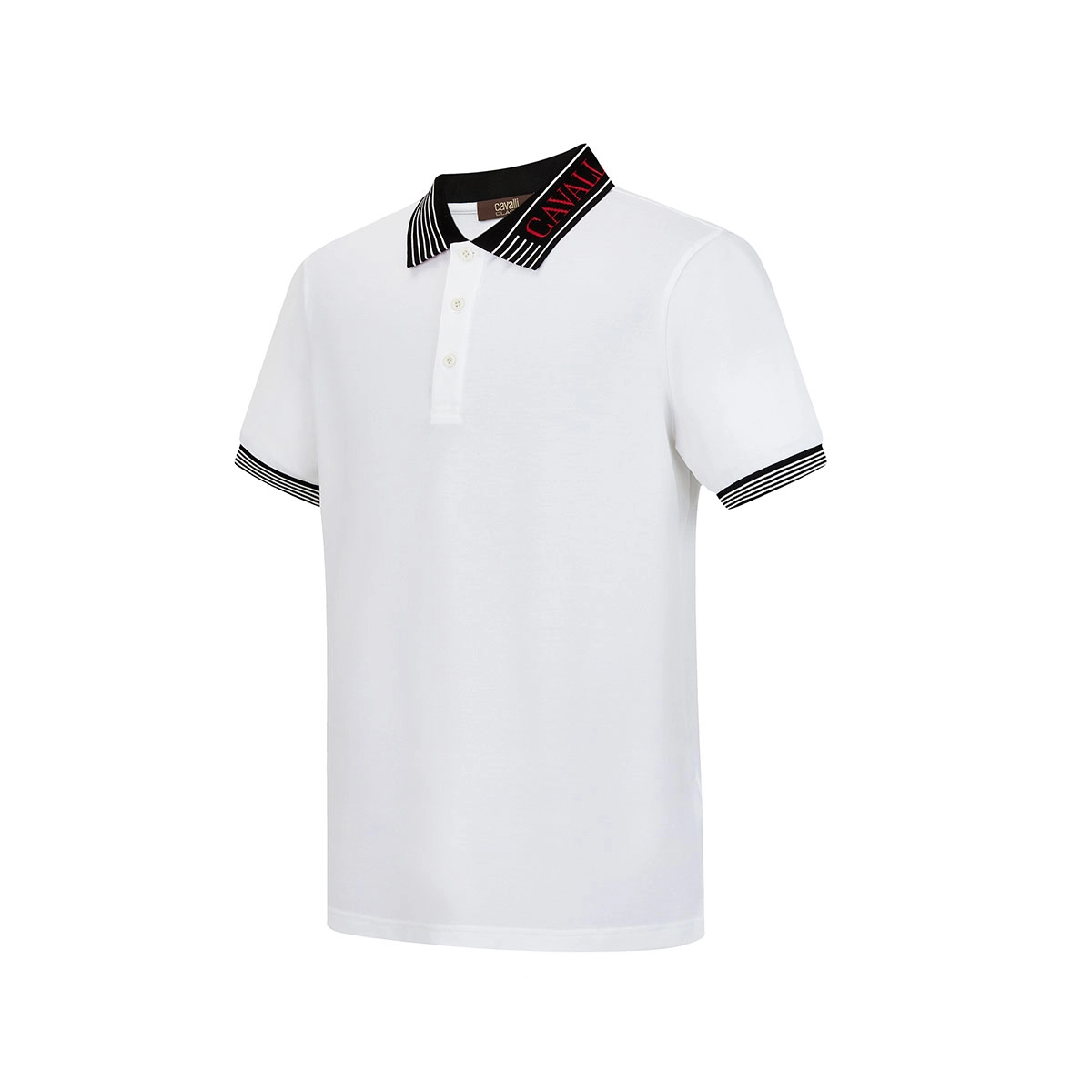 Cavalli Class logoPolo
