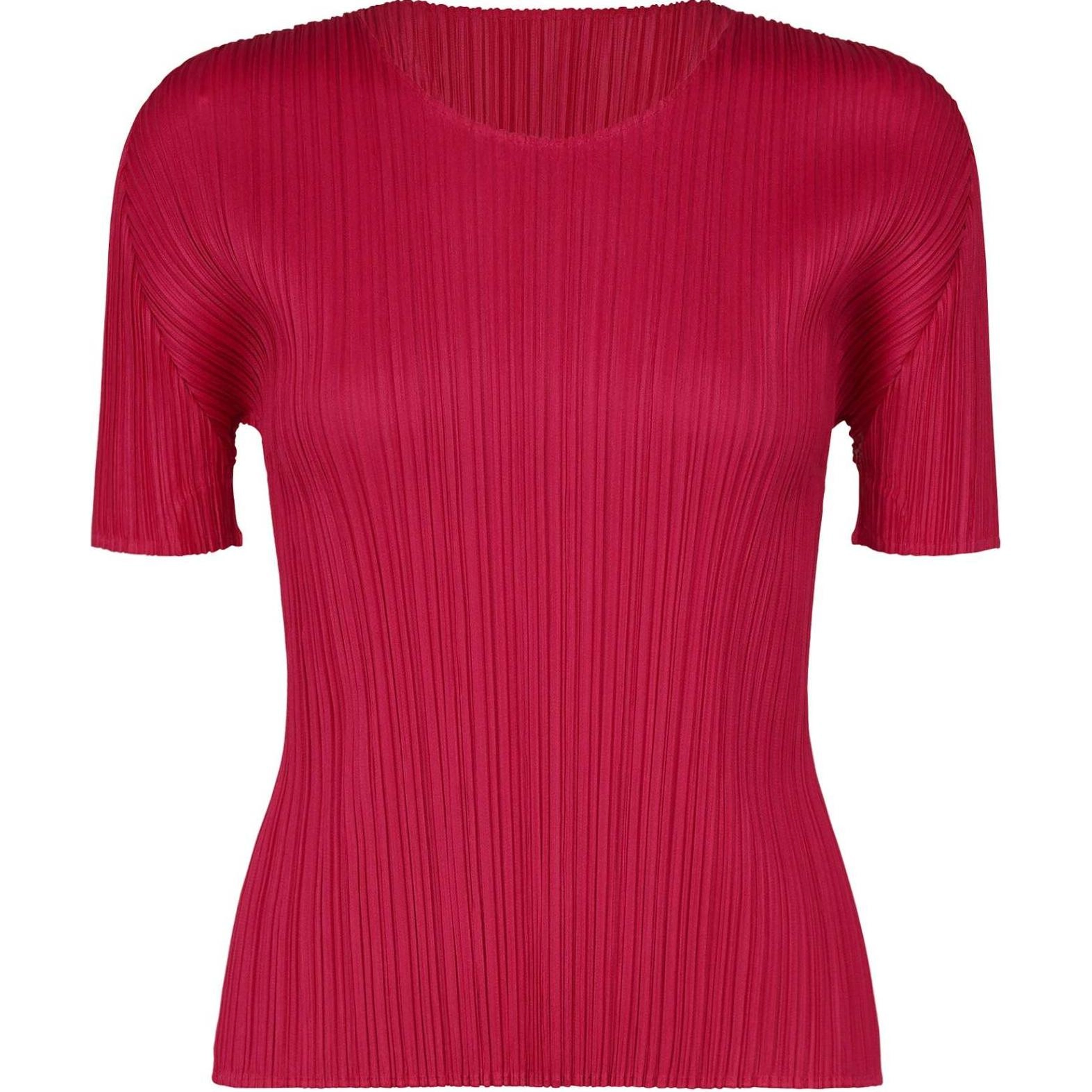 PLEATS PLEASE ISSEY MIYAKE FW24 T
