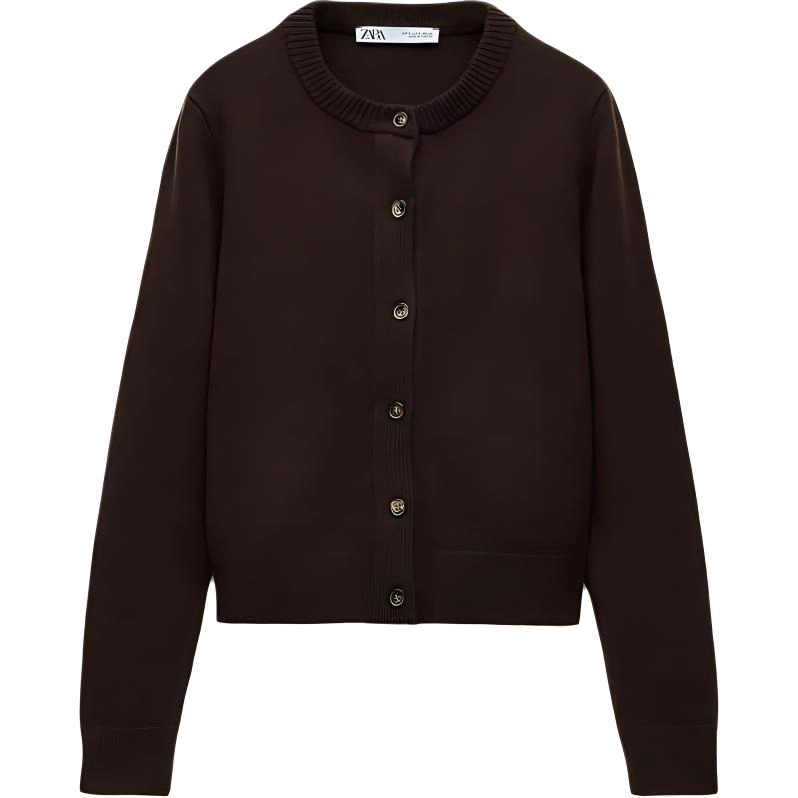 ZARA V