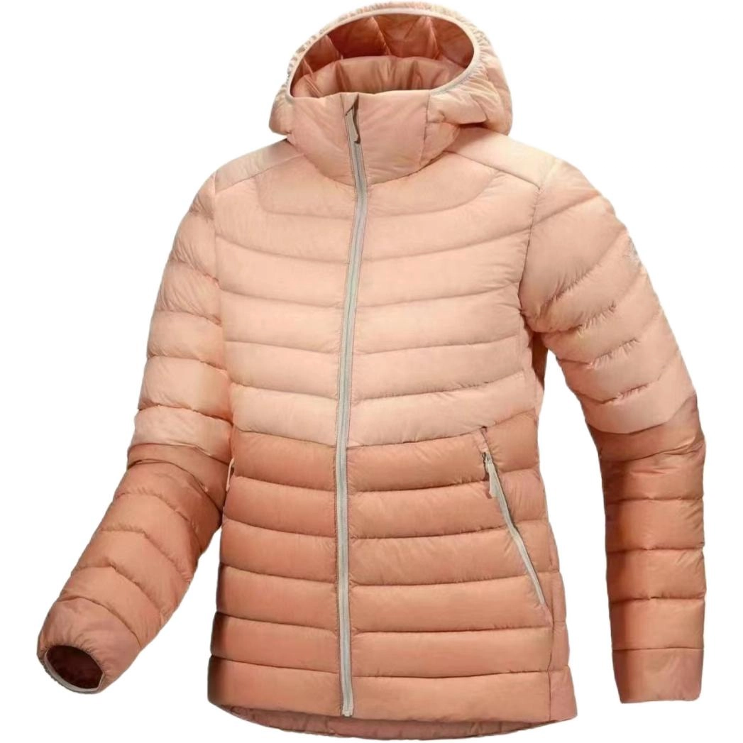 Arcteryx cerium hoody logo