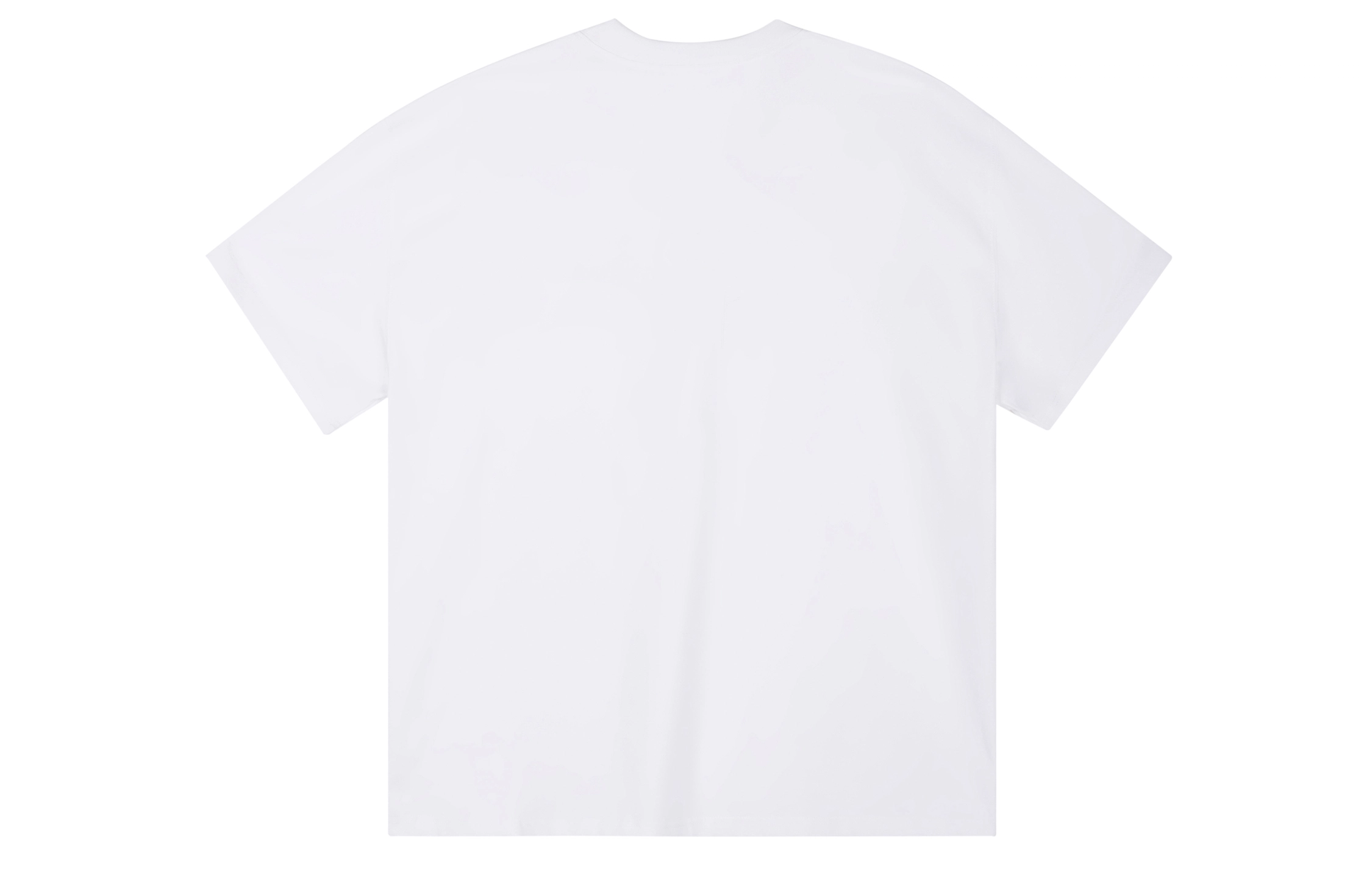 ICONS Lab ICS T