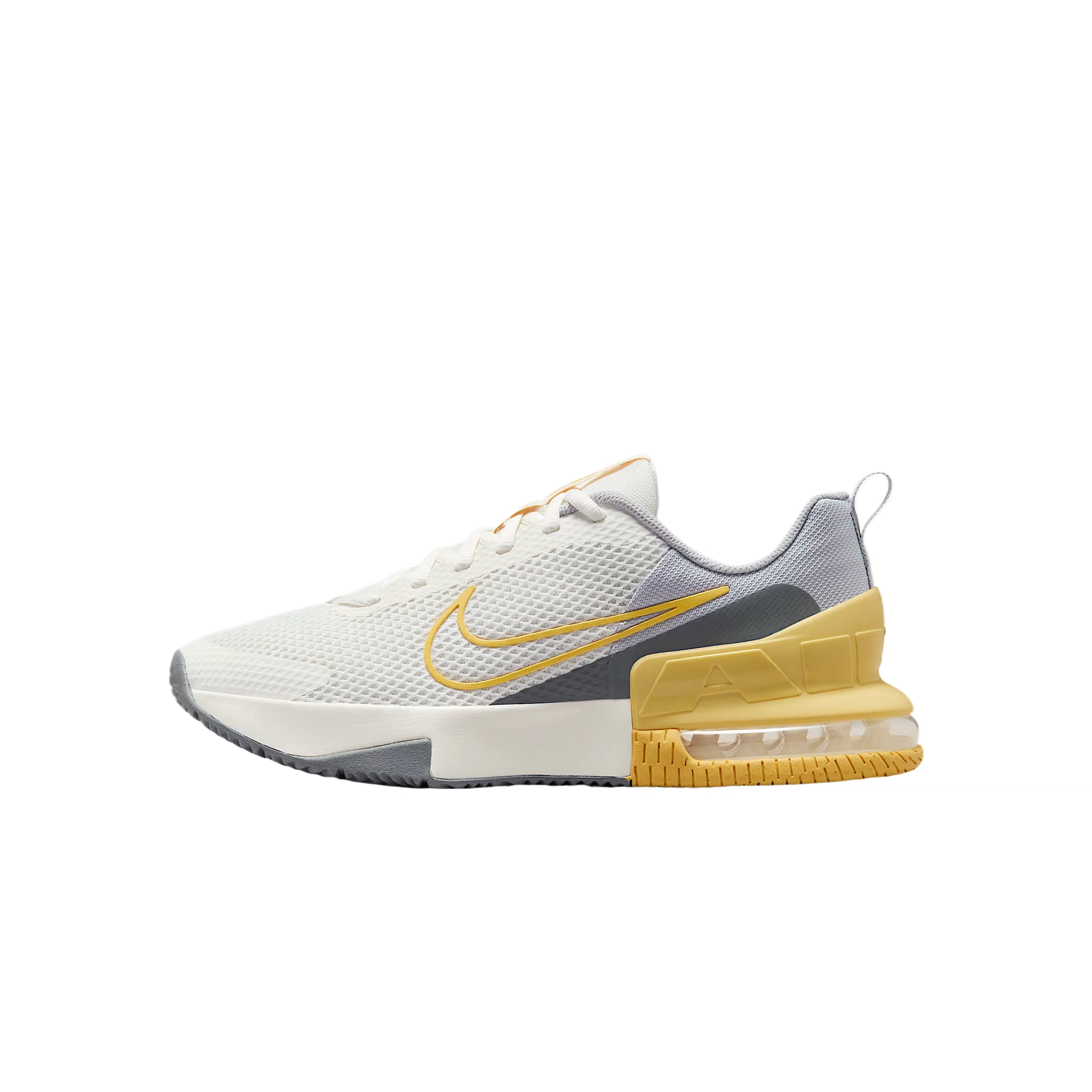 Nike Air Max Alpha Trainer 6