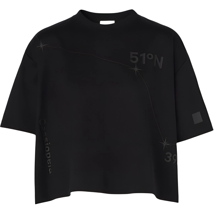 Burberry FW22 T