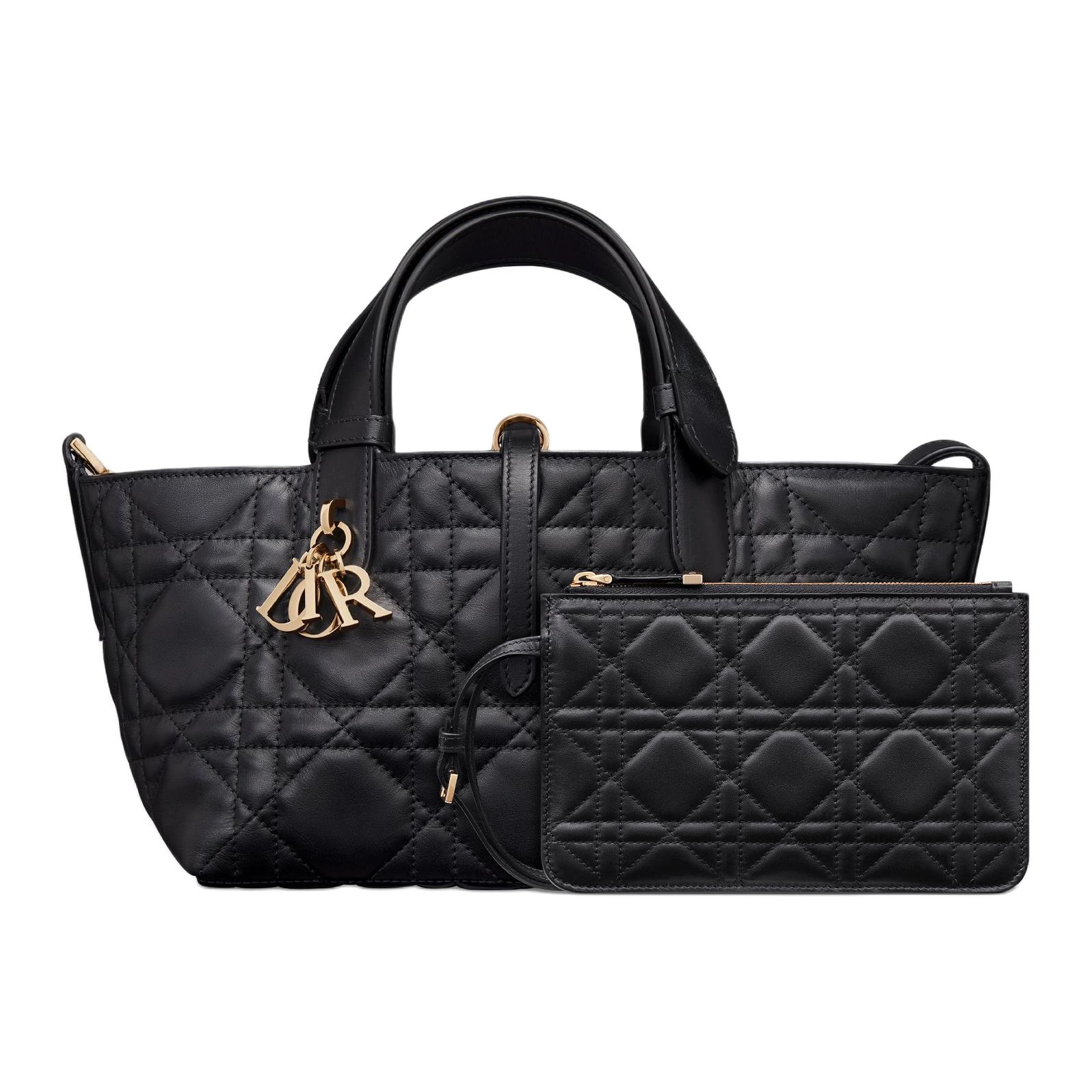 DIOR Toujours