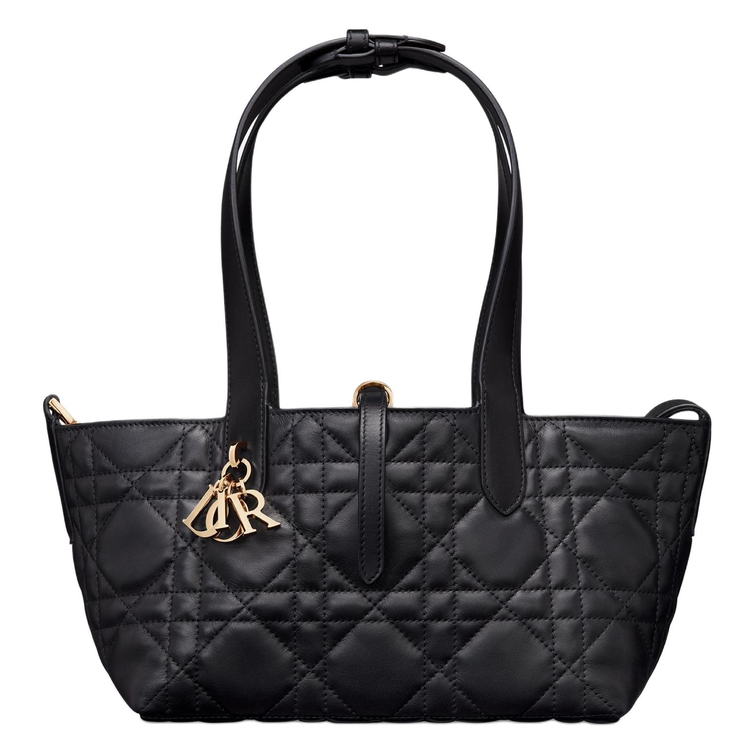 DIOR Toujours