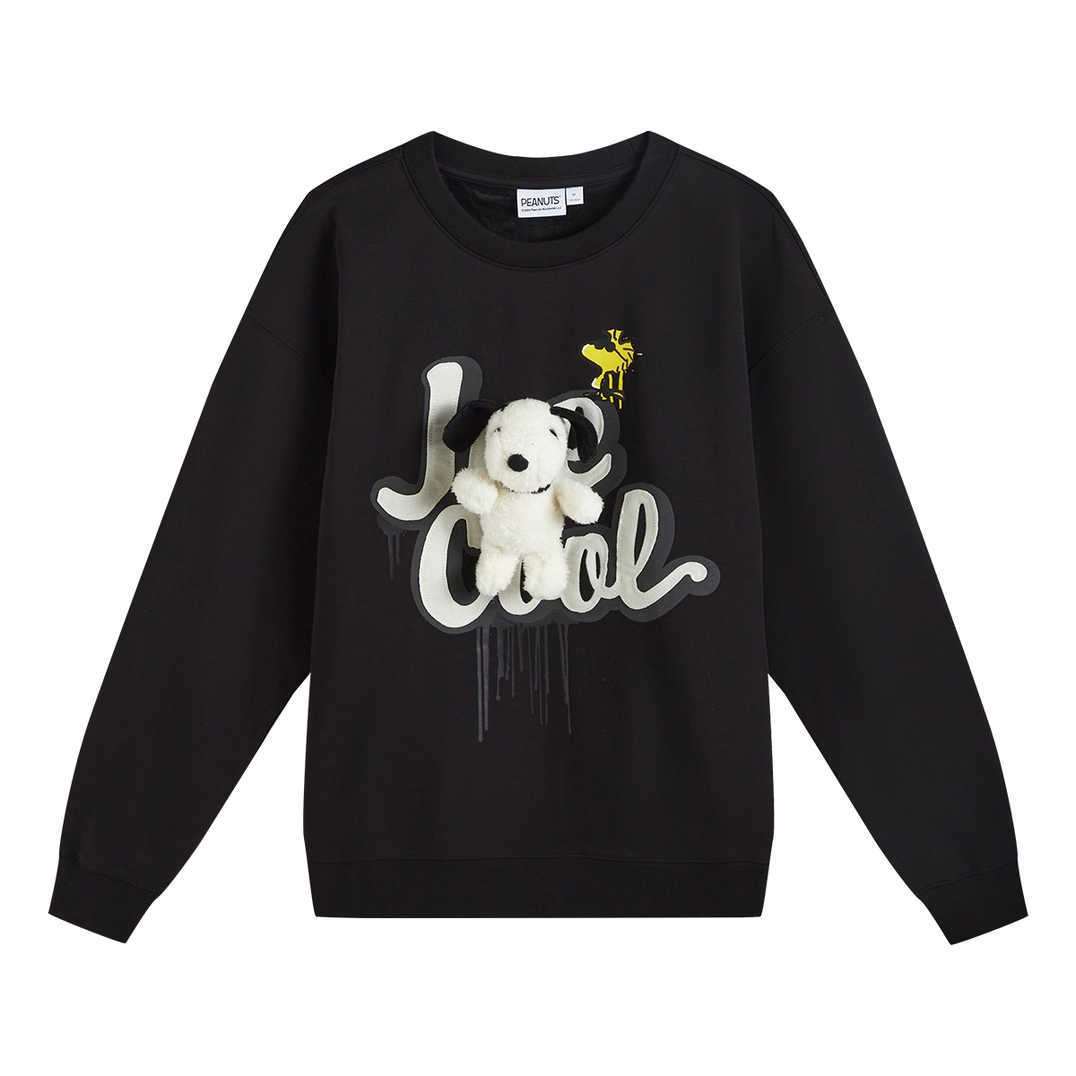 fun x Snoopy