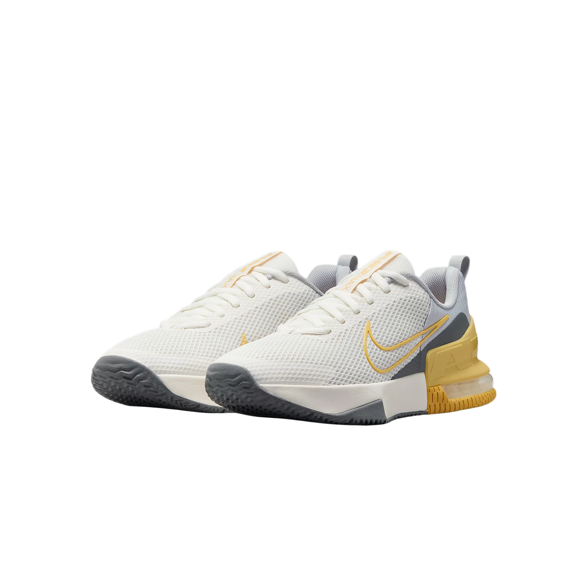 Nike Air Max Alpha Trainer 6