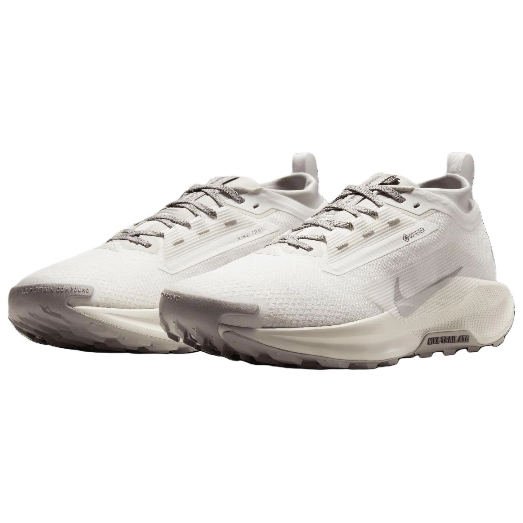Nike Pegasus Trail 5 GORE-TEX