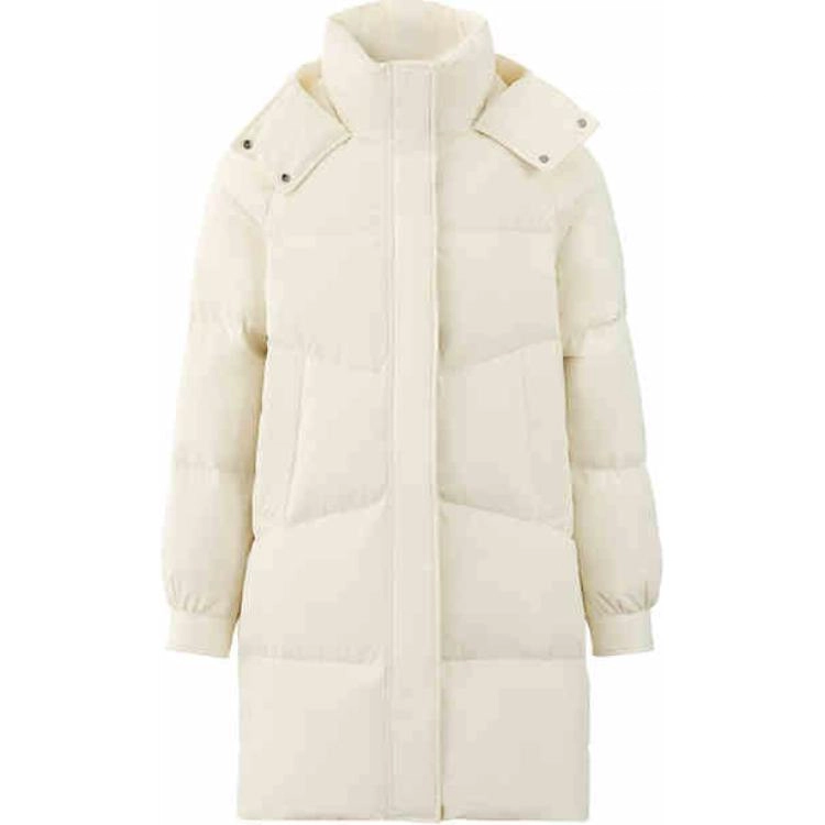 LONSDALE AW24