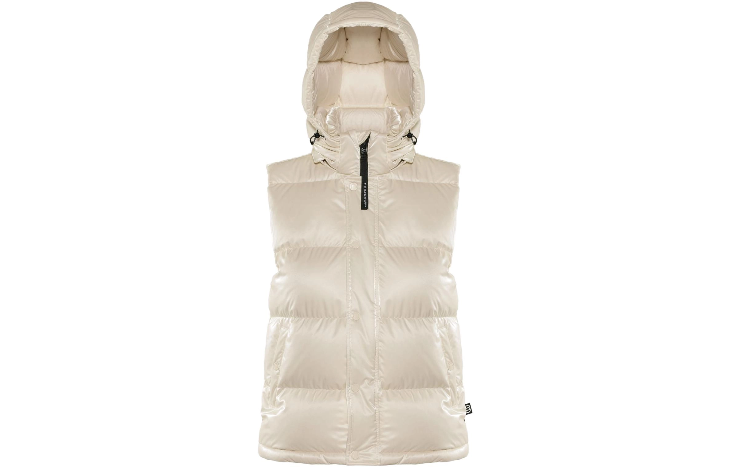 ARITZIA Super Puff Liquid Shine 5