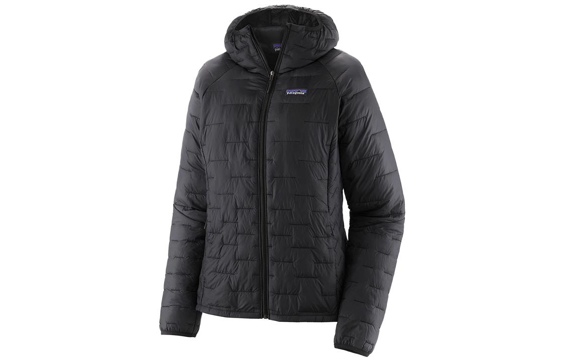 patagonia Micro Puff Logo