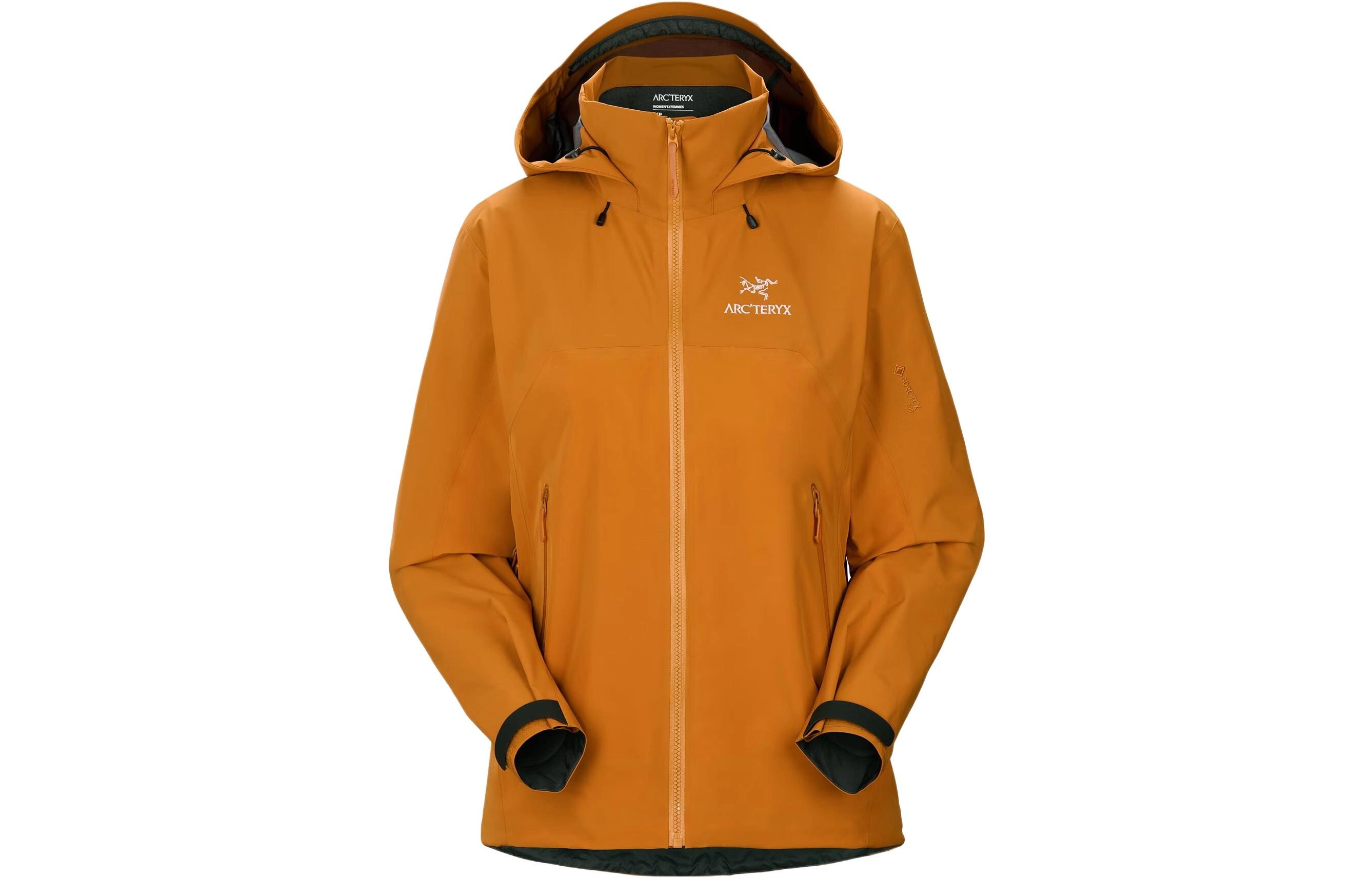 Arcteryx Beta AR Gore-tex Pro